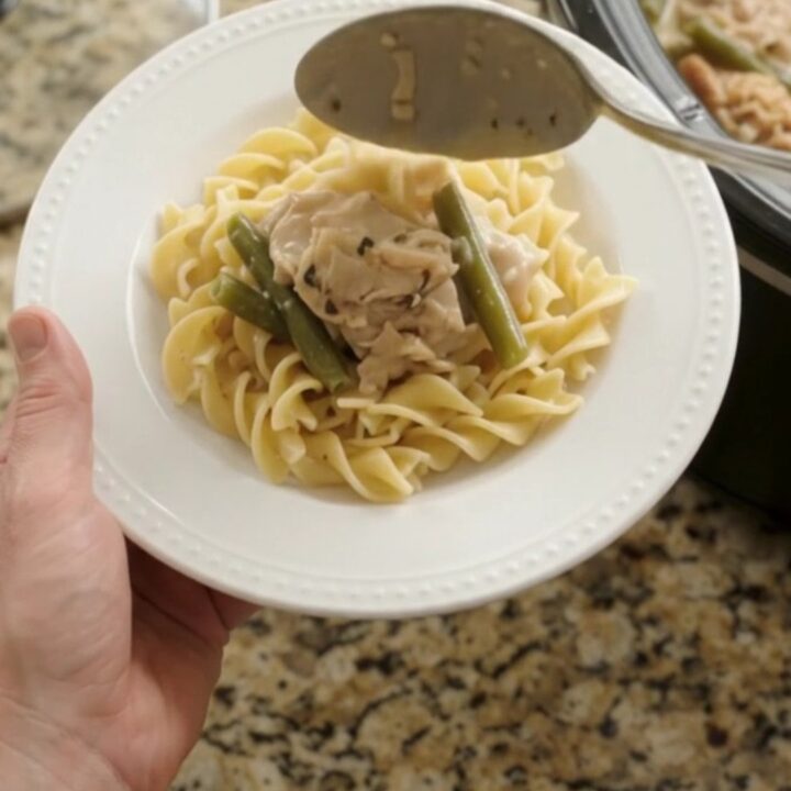 Slow cooker chicken thighs and green beans in a creamy Parmesan sauce