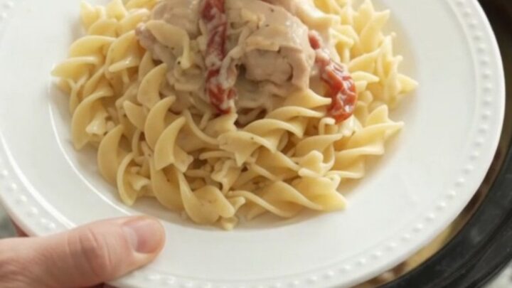 Creamy slow cooker chicken thighs with sun-dried tomatoes and Parmesan sauce, served over buttered noodles