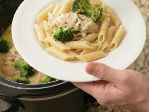 Slow cooker chicken and broccoli in creamy mozzarella sauce