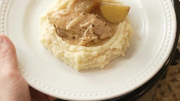 Slow cooker with creamy chicken and potatoes in golden mushroom sauce