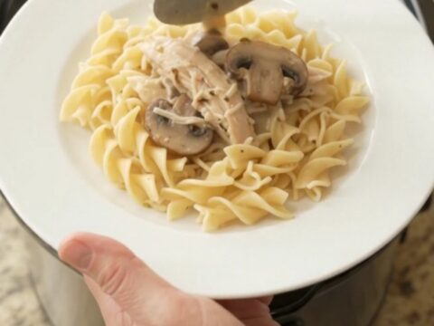 Slow cooker turkey breast with creamy Parmesan mushroom sauce, served over egg noodles