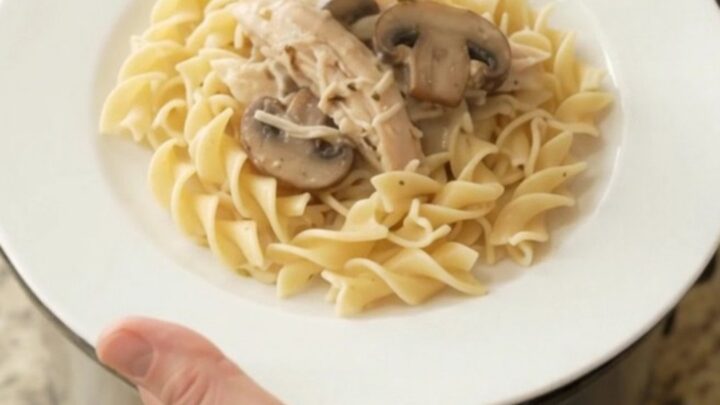 Slow cooker turkey breast with creamy Parmesan mushroom sauce, served over egg noodles