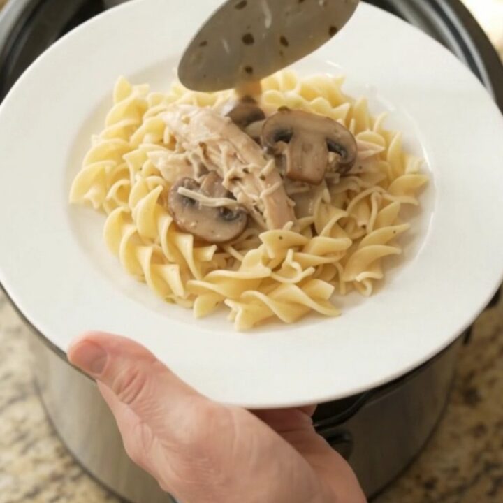 Slow cooker turkey breast with creamy Parmesan mushroom sauce, served over egg noodles