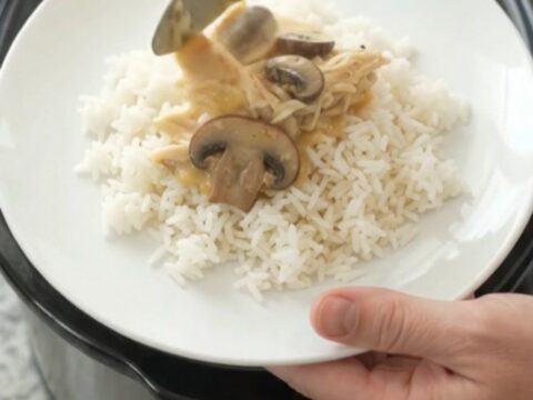 Slow cooker turkey breast with creamy cheddar mushroom sauce