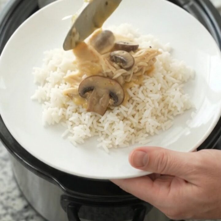 Slow cooker turkey breast with creamy cheddar mushroom sauce