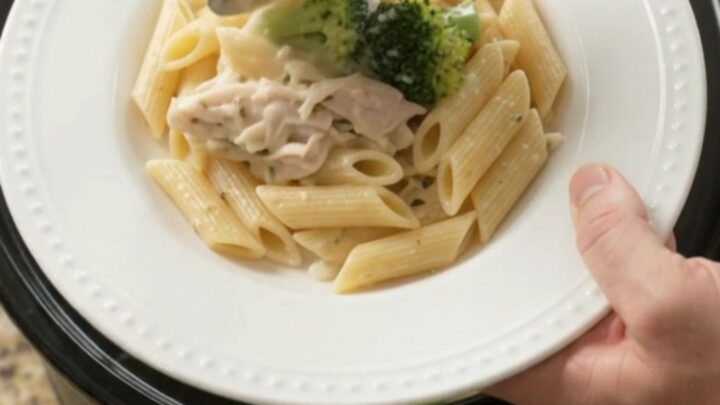 Slow cooker turkey and broccoli in creamy mozzarella sauce, ready to serve