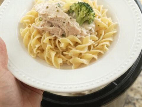 Shredded turkey and broccoli in creamy Parmesan sauce in a slow cooker