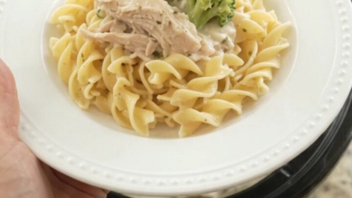 Shredded turkey and broccoli in creamy Parmesan sauce in a slow cooker