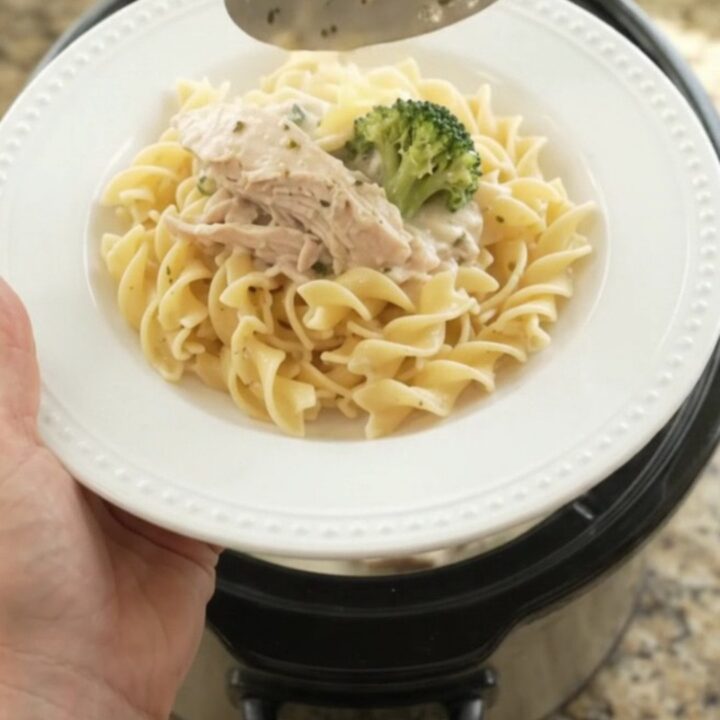 Shredded turkey and broccoli in creamy Parmesan sauce in a slow cooker
