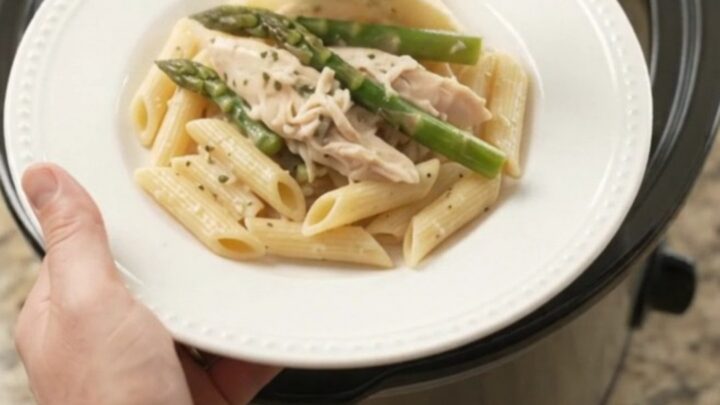 Slow cooker turkey and asparagus in creamy mozzarella sauce