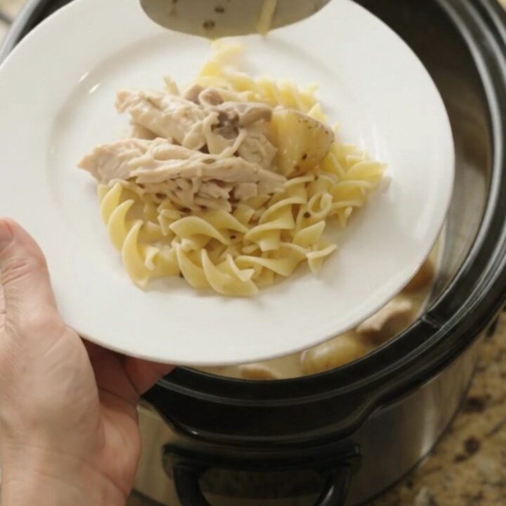 Slow cooker turkey breast and baby potatoes in creamy Parmesan gravy