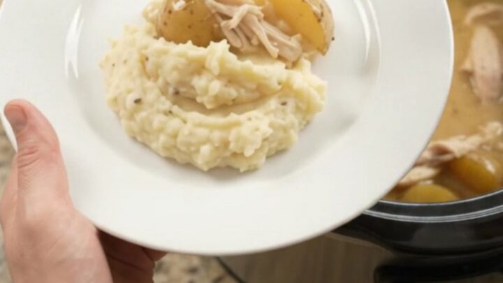 Slow cooker with creamy Swiss turkey and baby potatoes, bubbling sauce, top view