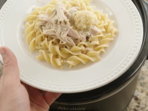 Slow cooker turkey and cauliflower in creamy Parmesan sauce, ready to serve.