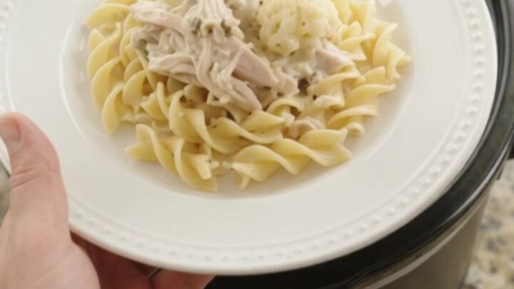 Slow cooker turkey and cauliflower in creamy Parmesan sauce, ready to serve.