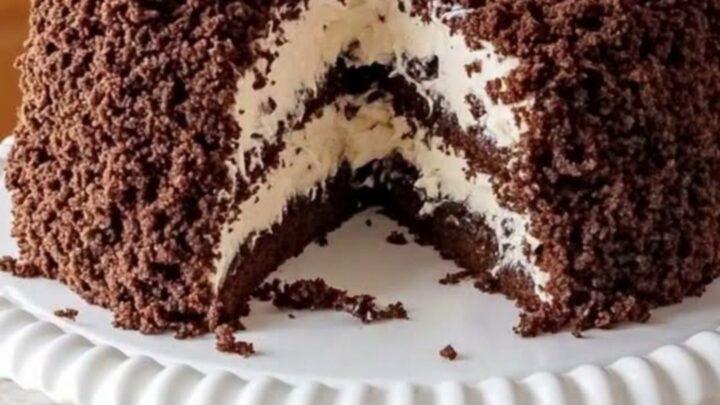 A slice of chocolate cake with layers of white coconut cream, coated in chocolate crumbs on a white stand.