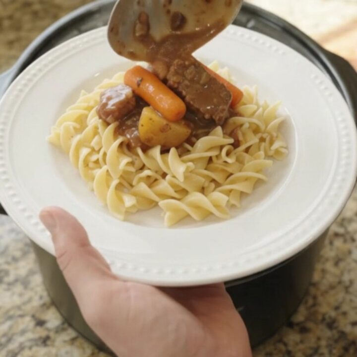 Slow cooker filled with ribeye bites, carrots, and potatoes in a rich sour cream gravy