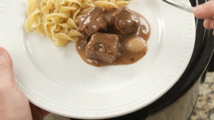 Slow cooker ribeye bites and portobello mushrooms in sour cream gravy, served over buttered egg noodles