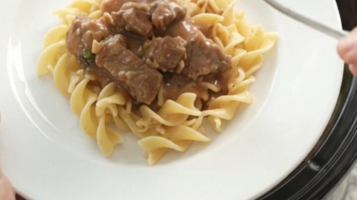 Slow cooker beef tenderloin tips with broccoli and mushrooms in creamy sour cream gravy, served over buttered egg noodles.