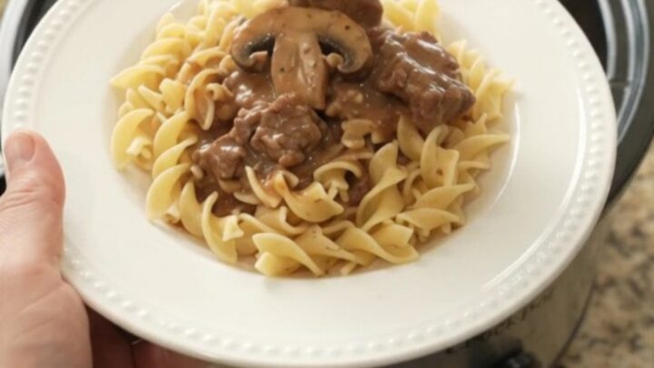 Slow cooker beef tenderloin tips and portobello mushrooms in creamy sour cream gravy, served over buttered egg noodles.