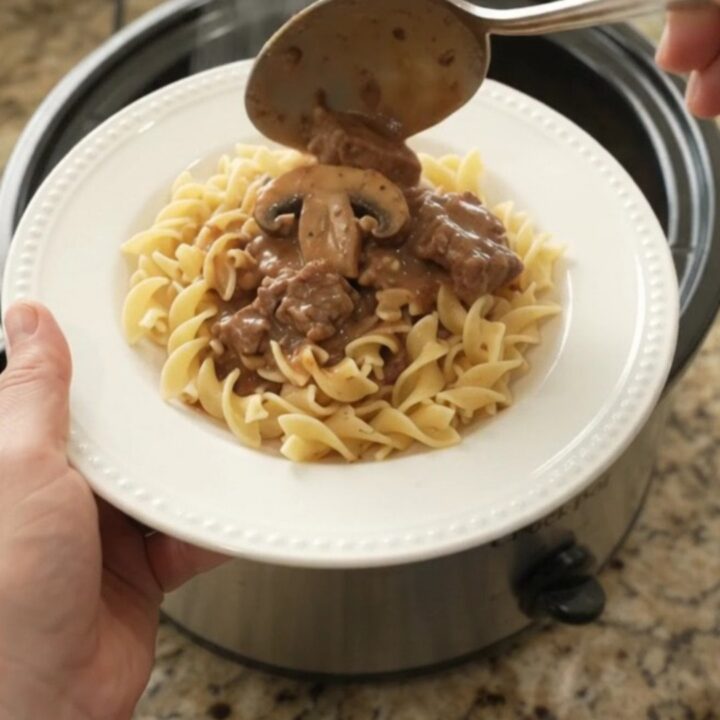 Slow cooker beef tenderloin tips and portobello mushrooms in creamy sour cream gravy, served over buttered egg noodles.