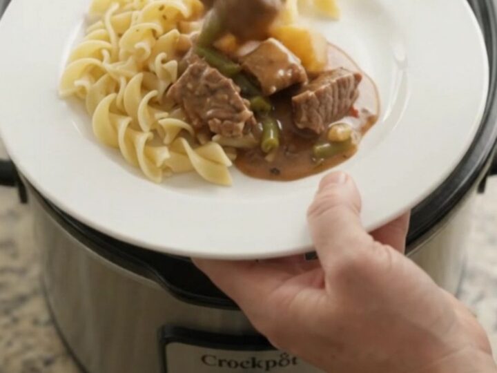 Slow cooker beef tenderloin tips with green beans and potatoes in sour cream gravy