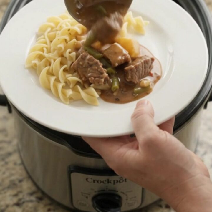 Slow cooker beef tenderloin tips with green beans and potatoes in sour cream gravy