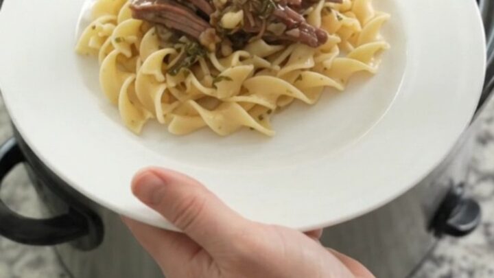 Shredded beef chuck roast with pearl onions in a rich stout gravy in a slow cooker