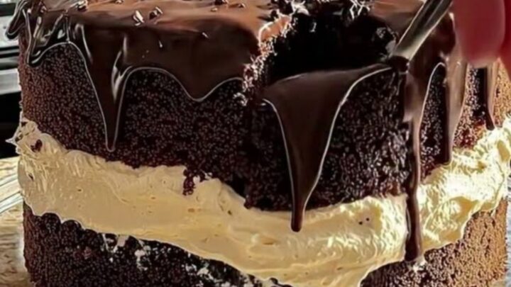 A tall, two-layer chocolate cake with glossy ganache drips and sprinkles on a glass stand.