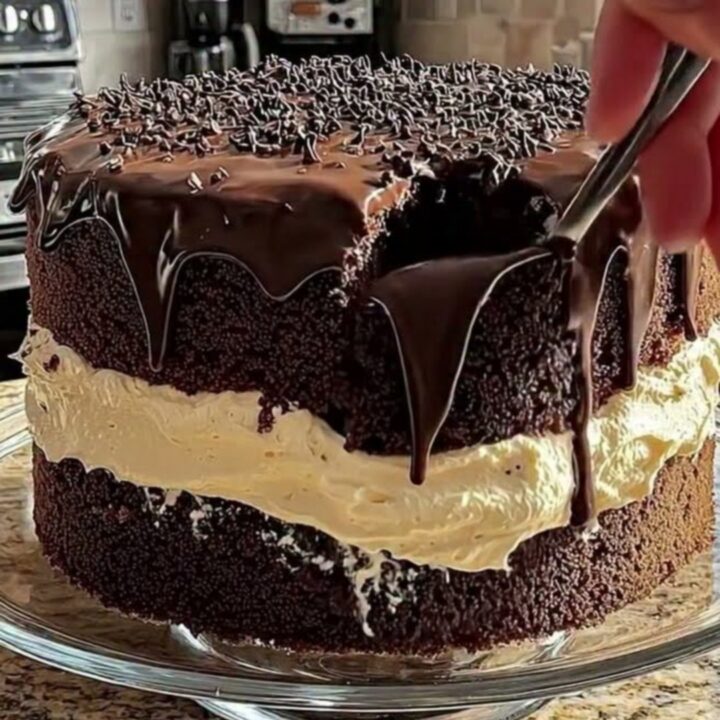A tall, two-layer chocolate cake with glossy ganache drips and sprinkles on a glass stand.