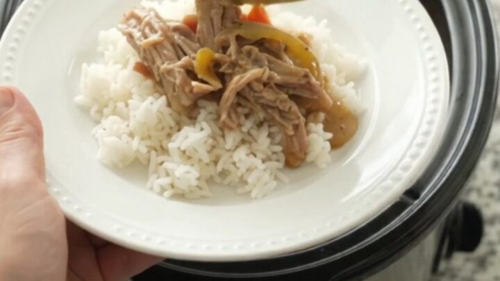 Slow-cooked pork shoulder with sweet peppers and onions in a creamy Dijon sauce, served on a white plate