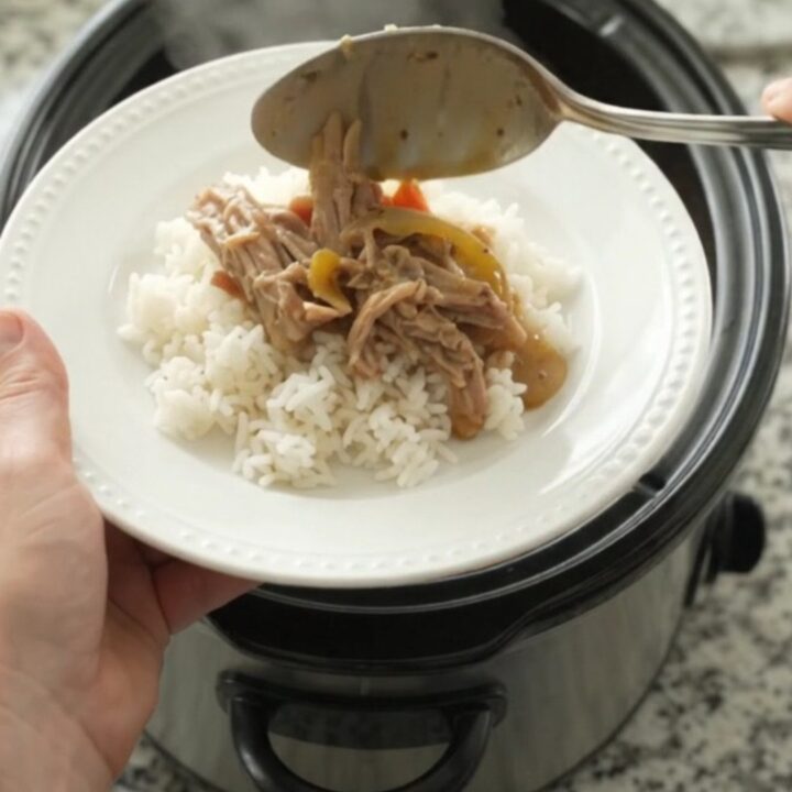 Slow-cooked pork shoulder with sweet peppers and onions in a creamy Dijon sauce, served on a white plate