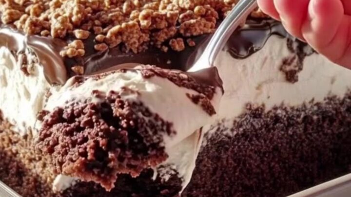 A close-up shot of a chocolate cream cake in a white dish, showing distinct layers of sponge, cream, and ganache.