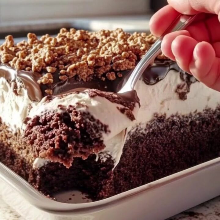 A close-up shot of a chocolate cream cake in a white dish, showing distinct layers of sponge, cream, and ganache.