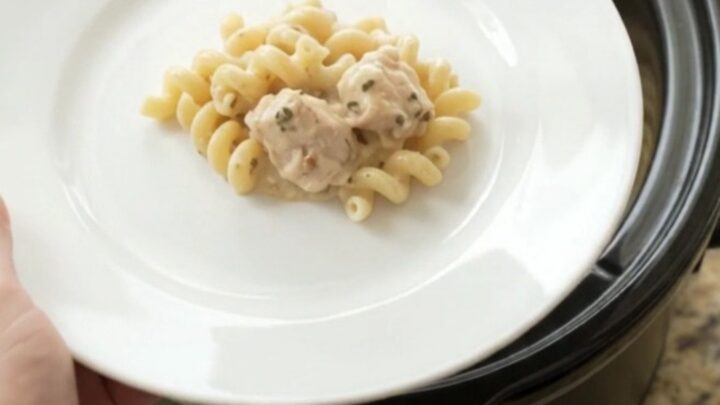 Creamy cavatappi pasta with chicken and melted provolone in a black slow cooker