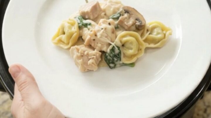 Creamy slow-cooker chicken tortellini with melted mozzarella and mushrooms in a black Crockpot