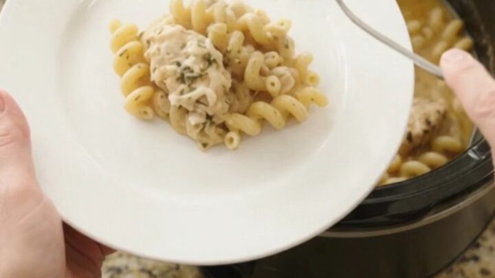Slow cooker filled with creamy chicken cavatappi, topped with melted provolone and ricotta.