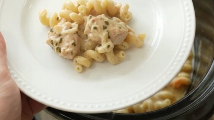 Creamy Crockpot chicken cavatappi with melted cheese and golden top