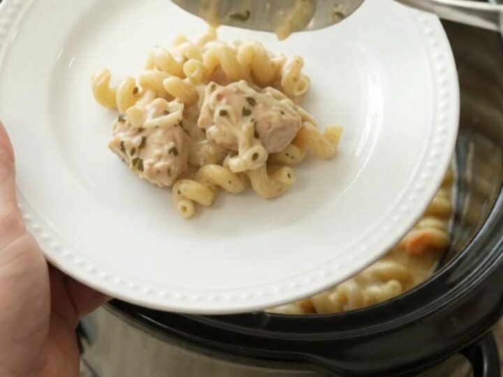 Creamy Crockpot chicken cavatappi with melted cheese and golden top
