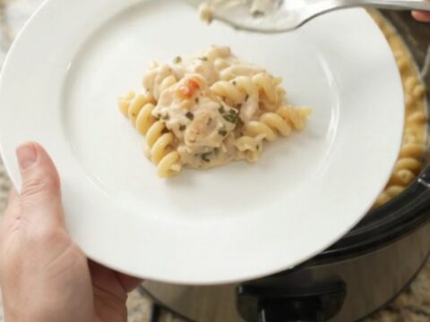 Creamy cavatappi pasta with chicken and melted mozzarella in a slow cooker