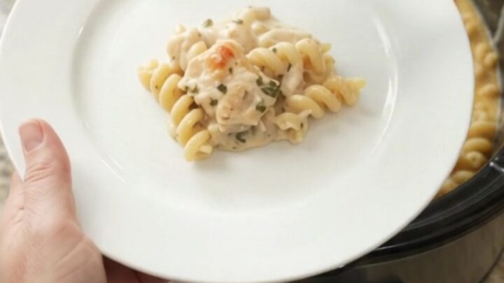 Creamy cavatappi pasta with chicken and melted mozzarella in a slow cooker