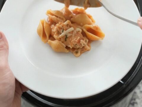 Slow cooker full of creamy pasta with chicken and melted mozzarella, steam rising