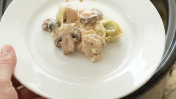 Crockpot chicken spinach tortellini Alfredo with melted provolone and ricotta, served in a slow cooker.