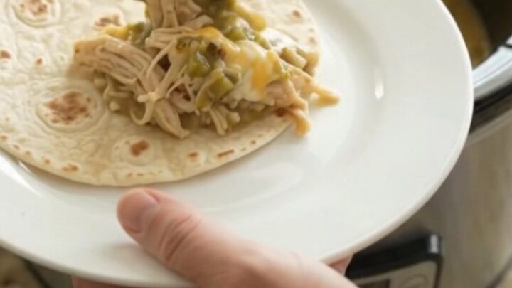 Creamy salsa verde chicken in a slow cooker, topped with melted cheese and green chiles.