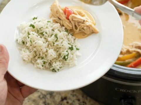 Shredded chicken and peppers in a creamy cheddar sauce in a slow cooker
