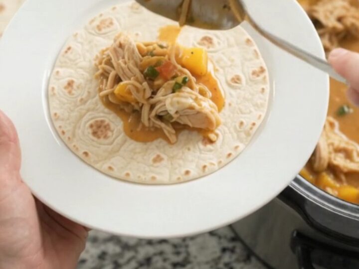 Shredded chicken in creamy mango habanero sauce with melted cheese, served in a slow cooker