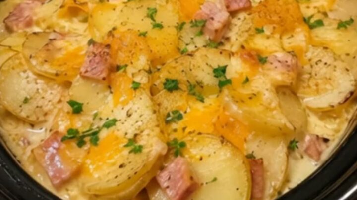 A close-up of creamy, cheesy scalloped potatoes and ham in a black slow cooker, garnished with fresh green parsley.