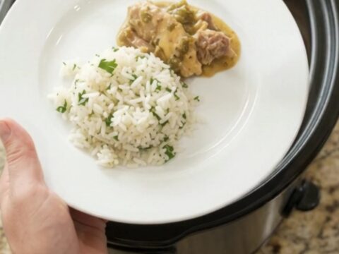 Slow cooker pork carnitas in creamy salsa verde queso sauce, served over cilantro-lime rice