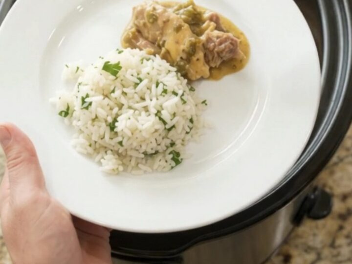 Slow cooker pork carnitas in creamy salsa verde queso sauce, served over cilantro-lime rice