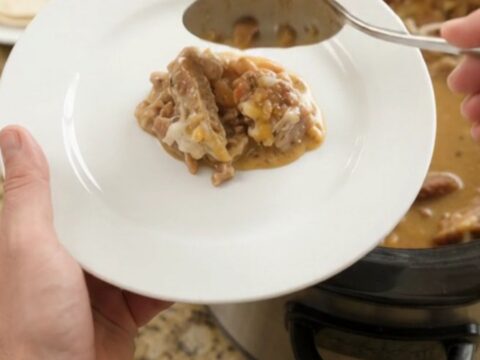 Slow-cooker pork carnitas with pinto beans and melted Monterey Jack cheese
