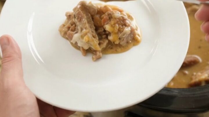 Slow-cooker pork carnitas with pinto beans and melted Monterey Jack cheese